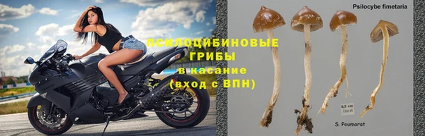 кокс Богородск