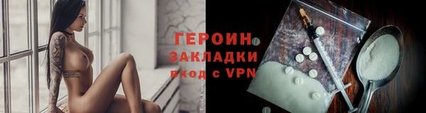 прущие грибы Богородицк