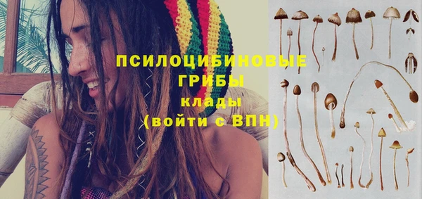 кокс Богородск