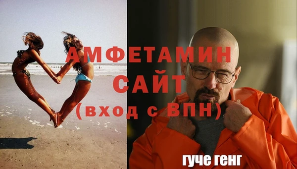 прущие грибы Богородицк